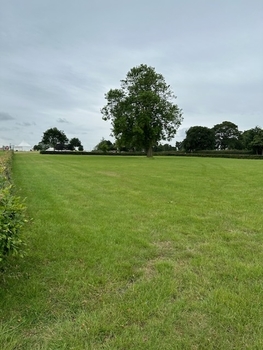 Winterton Show Winterton Show